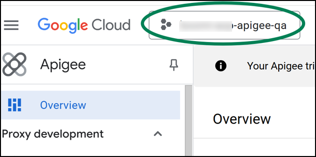 How to Apigee - Organization