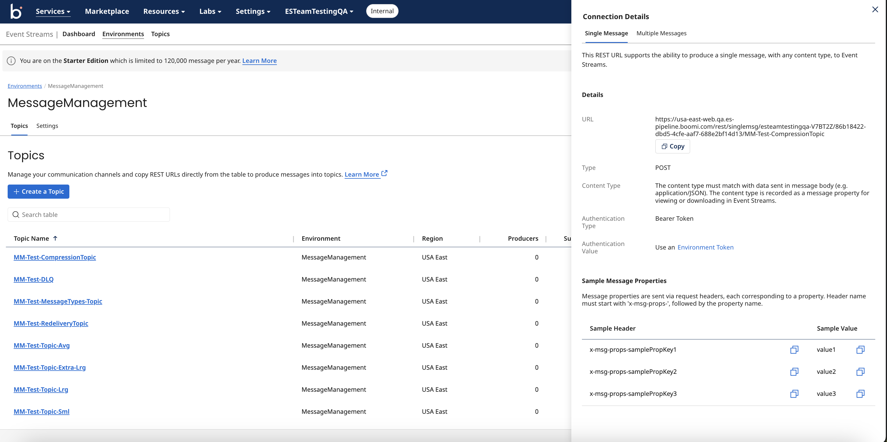 Single Message Connection Details