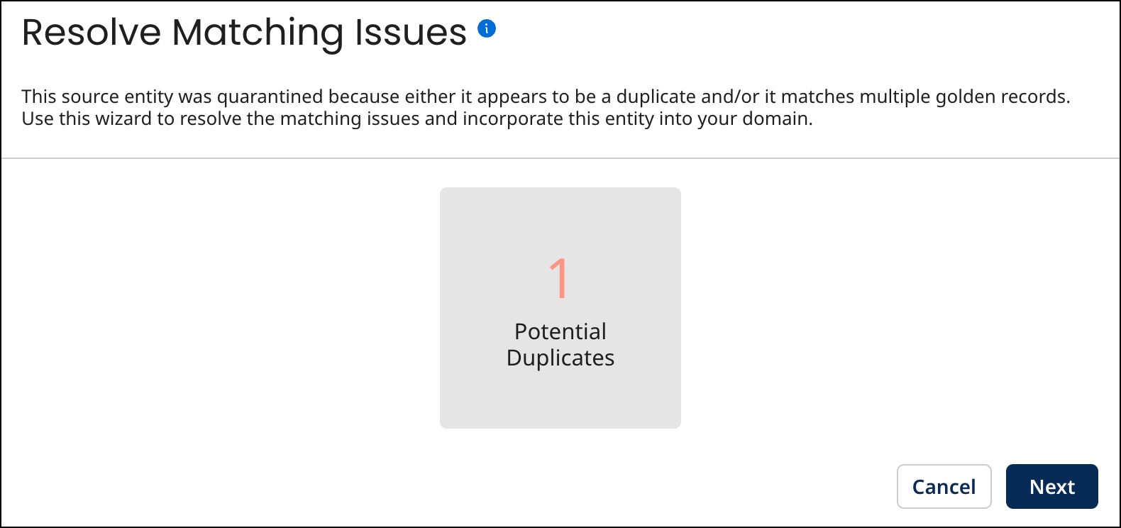 Resolve Matching Issues wizard’s initial screen